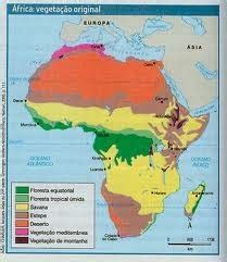 em termos vegetacionais a áfrica apresenta uma grande diversidade de vegetação